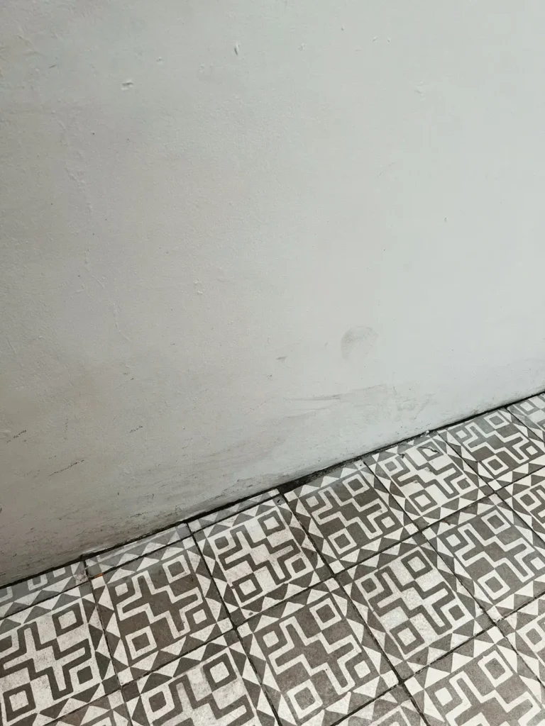 Luxury Bathroom Remodel